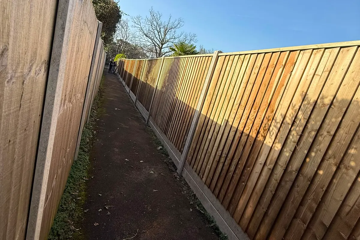 A close board fence running the length of a narrow path, newly built alongside an older weathered fence